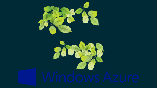 1270539 (a): :8000x4500